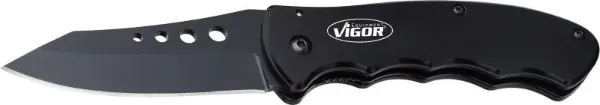  V4651 Vignal