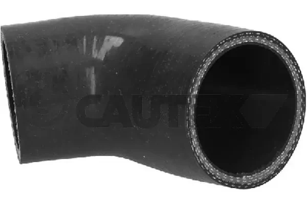 775878 Cautex