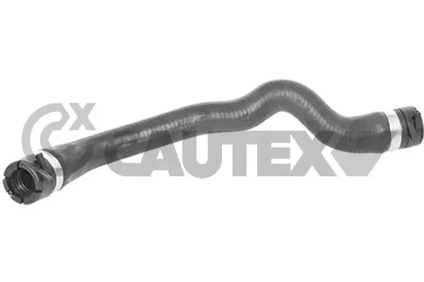 769773 Cautex