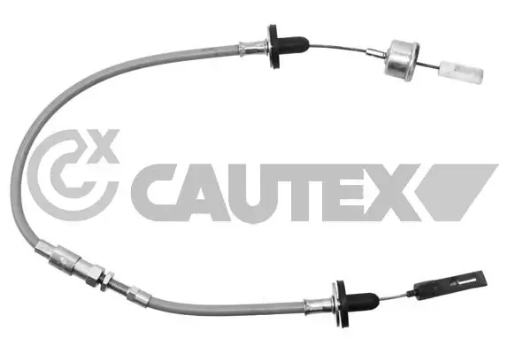 468076 Cautex