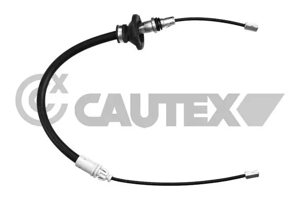 489003 Cautex