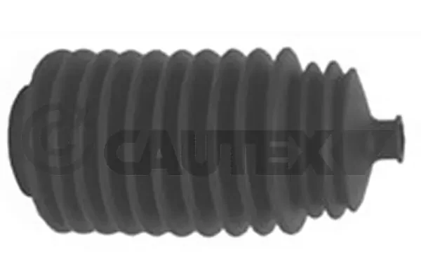 060616 Cautex