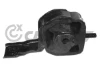 080106 Cautex