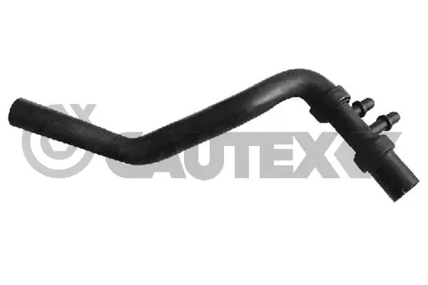 021162 Cautex