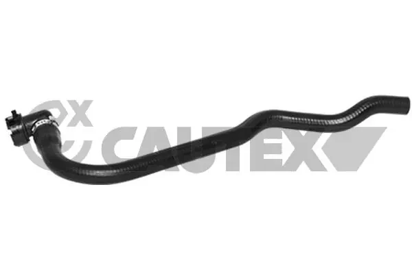 753664 Cautex