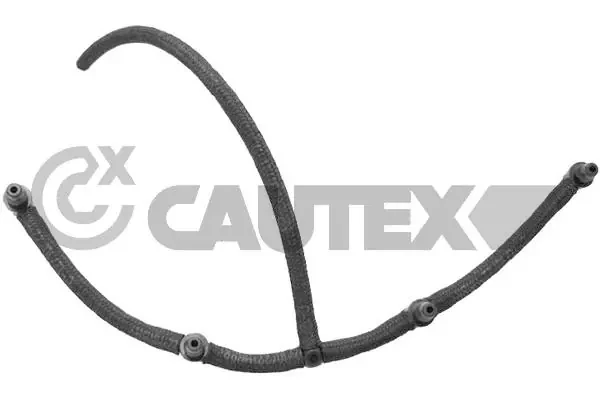 760340 Cautex