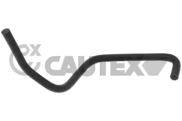  026304 Cautex