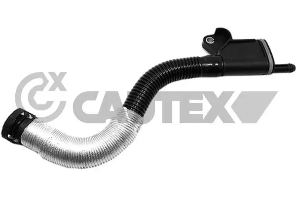 757379 Cautex