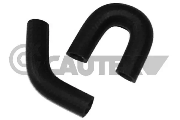 481064 Cautex