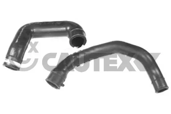  086805 Cautex