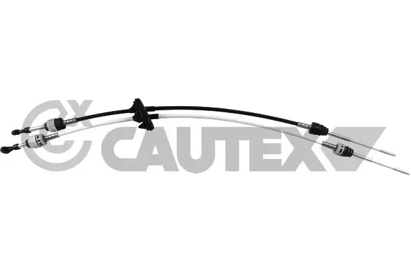 769405 Cautex