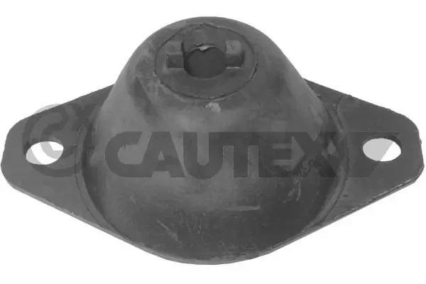 020884 Cautex