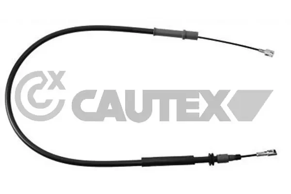 088006 Cautex