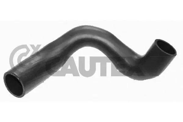 086404 Cautex