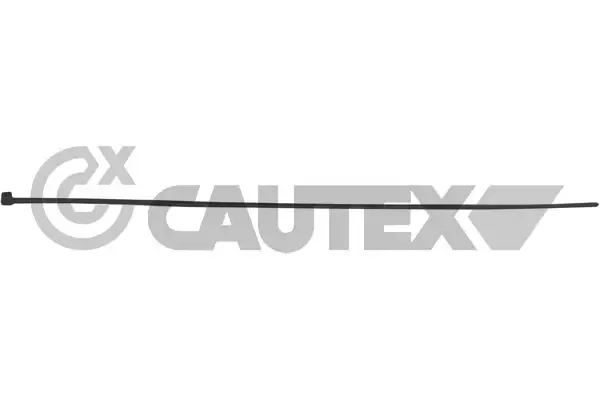  953002 Cautex