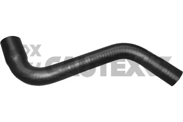 036161 Cautex