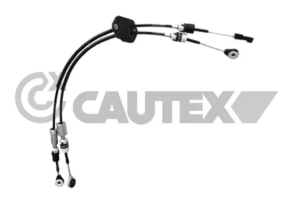 772590 Cautex