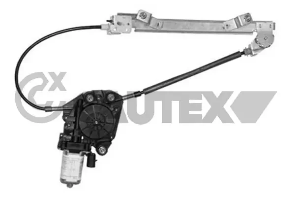217311 Cautex