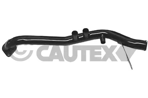  955103 Cautex