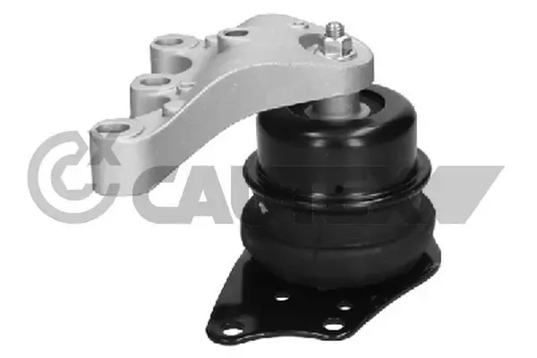 Soporte de motor derecho 461301 Cautex