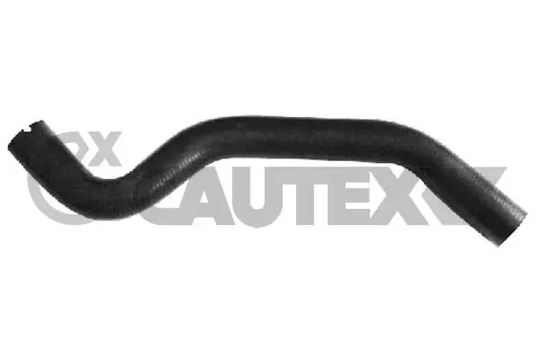 026601 Cautex