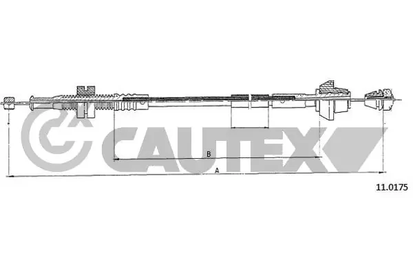 088005 Cautex