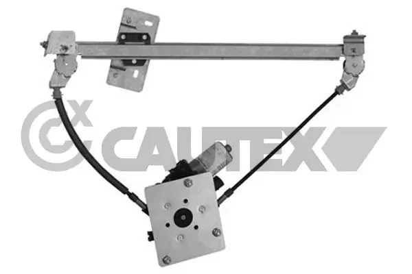 217005 Cautex