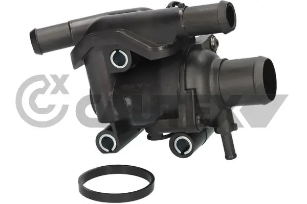 Caja de termostato 955395 Cautex