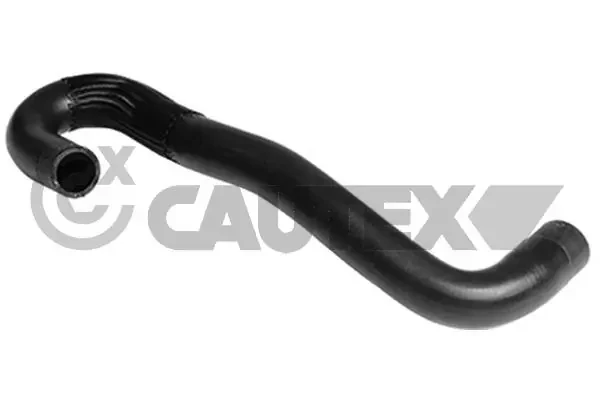 753420 Cautex