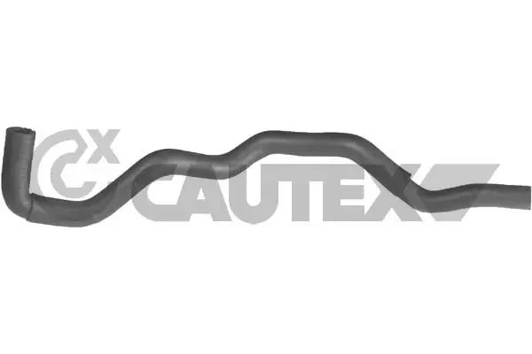 036363 Cautex