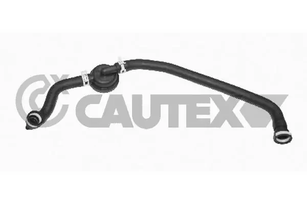 026858 Cautex