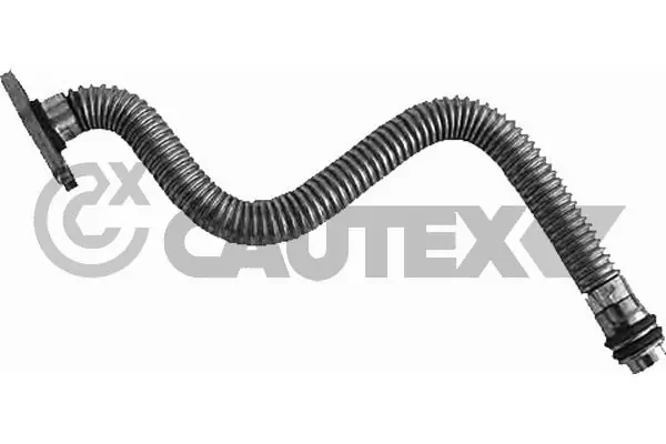769585 Cautex
