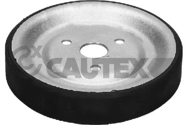 Polea de bomba de agua 771581 Cautex