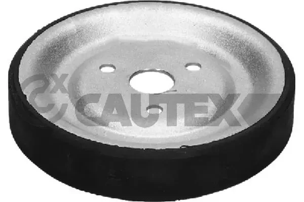 771581 Cautex