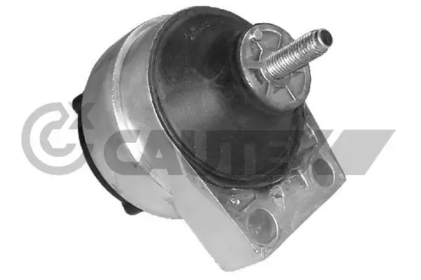 Soporte de motor derecho 081043 Cautex