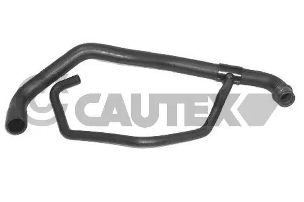 016382 Cautex