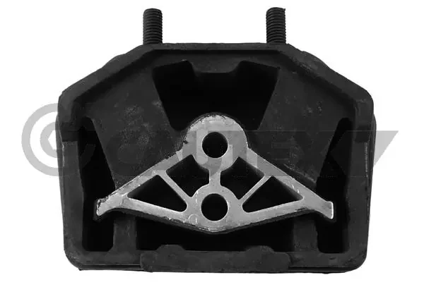 480277 Cautex