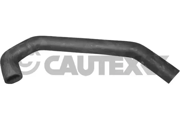 466016 Cautex