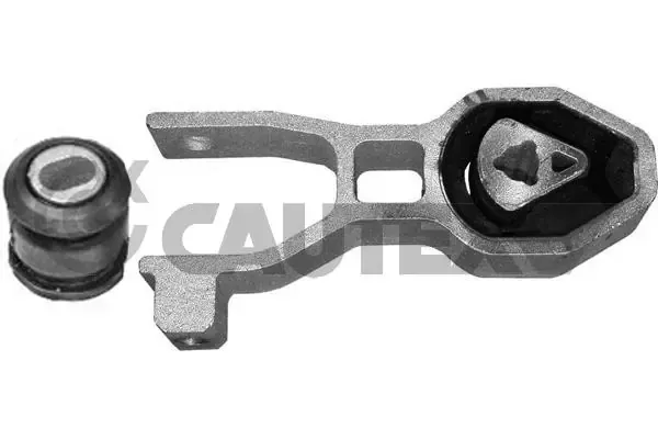  011261 Cautex