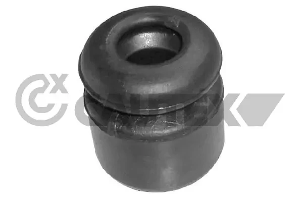 080213 Cautex