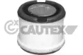 081107 Cautex
