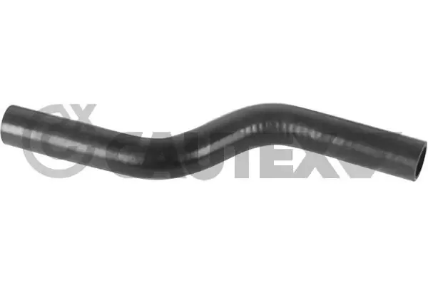  026131 Cautex