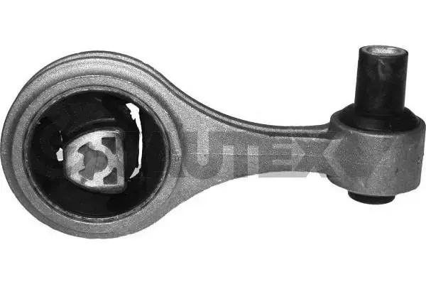  011081 Cautex