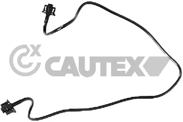 770960 Cautex