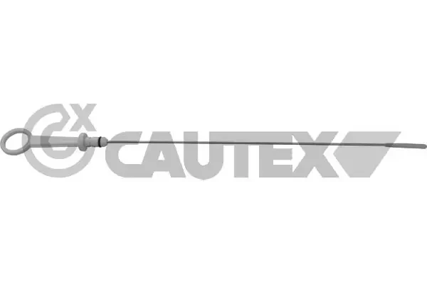 481169 Cautex