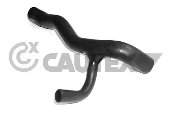  461100 Cautex