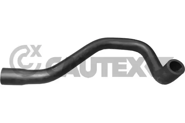  036013 Cautex
