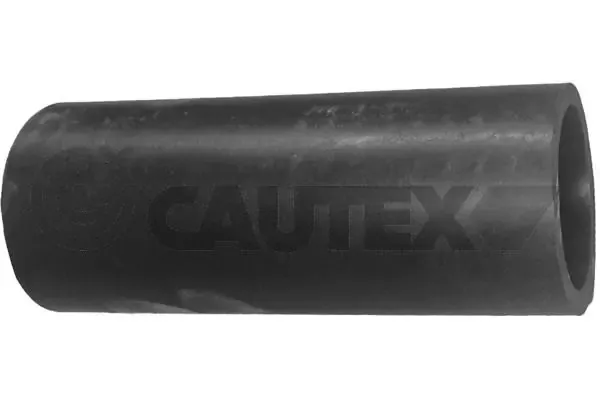  013017 Cautex