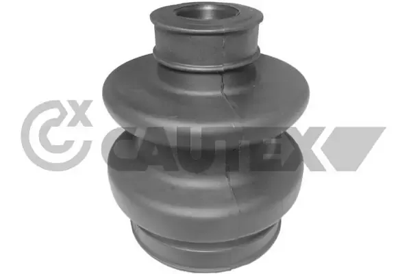  180010 Cautex