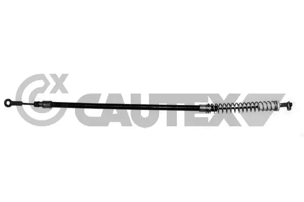 018956 Cautex